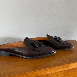 Beautiful Everlane mule loafers. Like new.